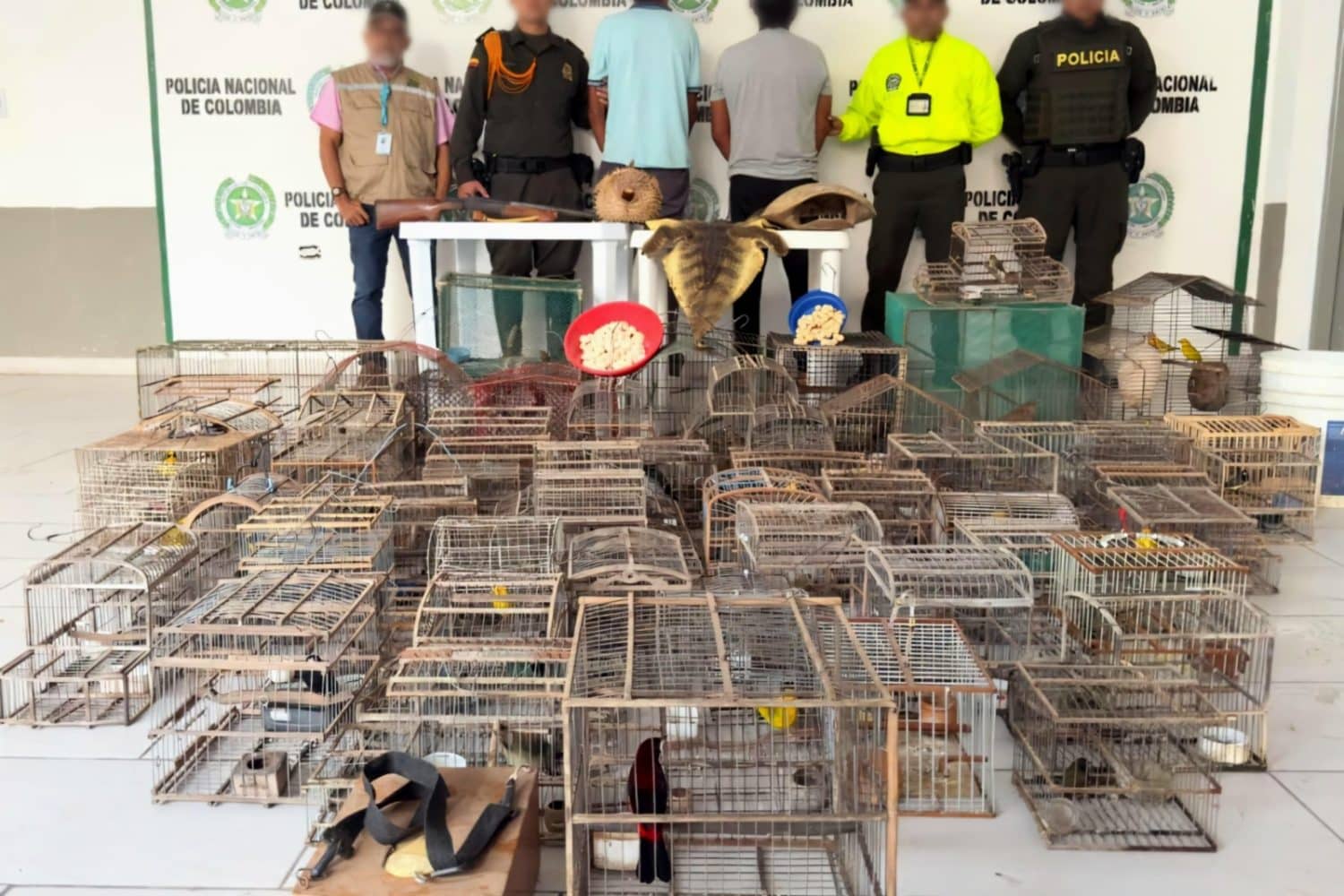 tráfico de fauna
