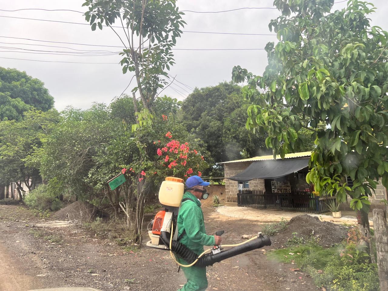 dengue