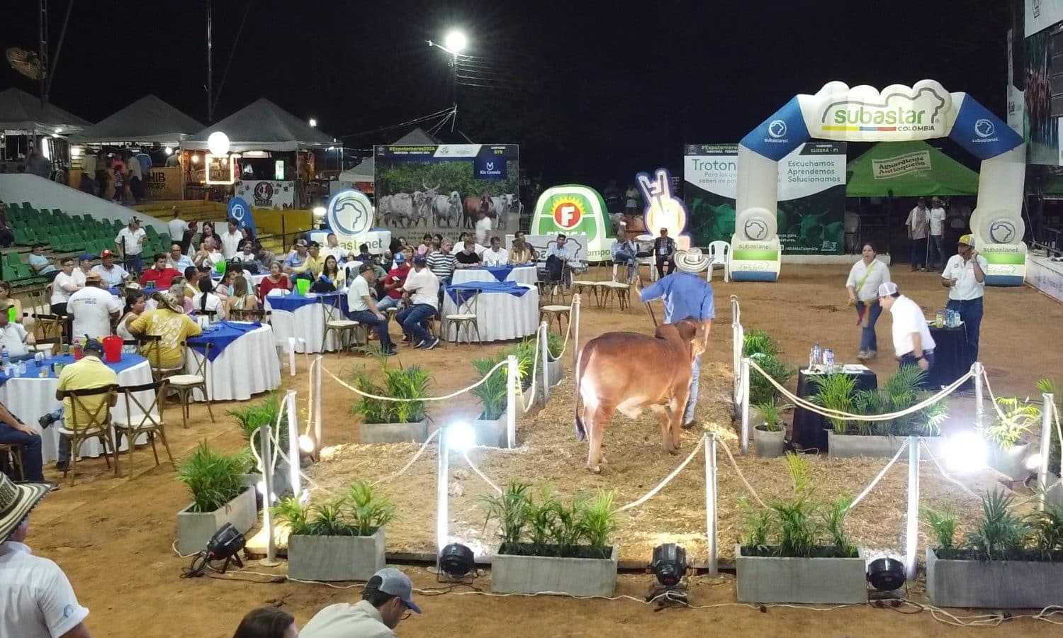 Expoterneros