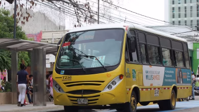 Metrosinú
