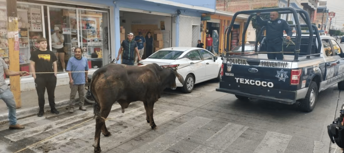 México