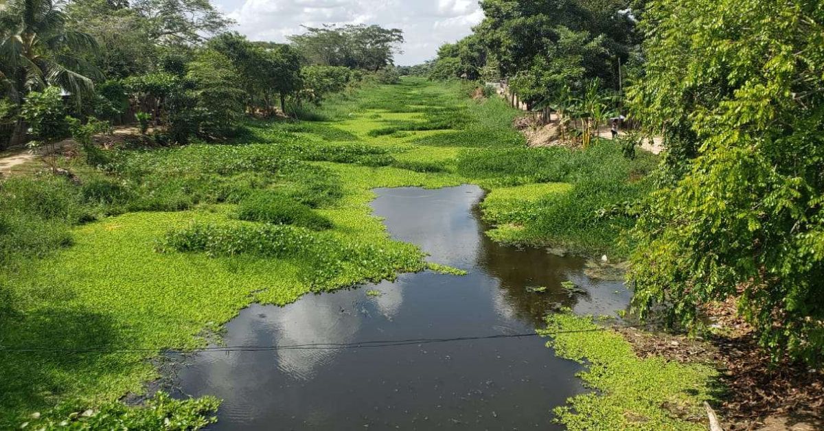 Caño Bugre
