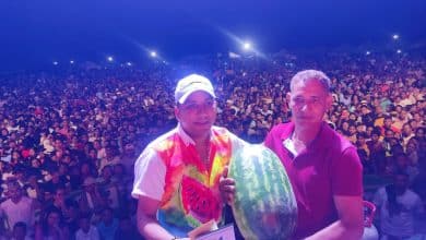 Festipatilla