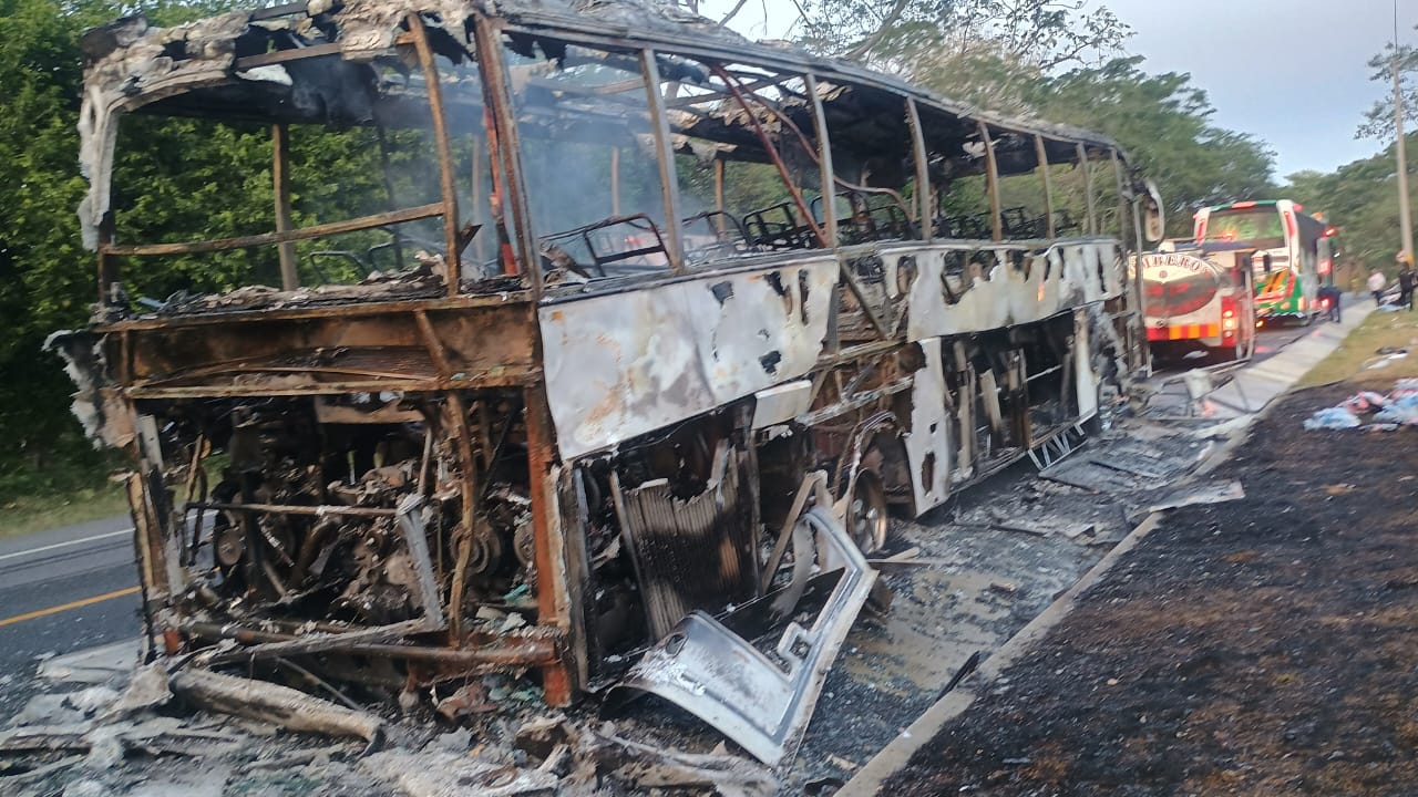bus
