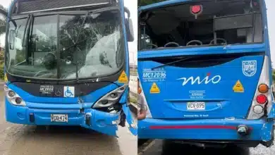 buses