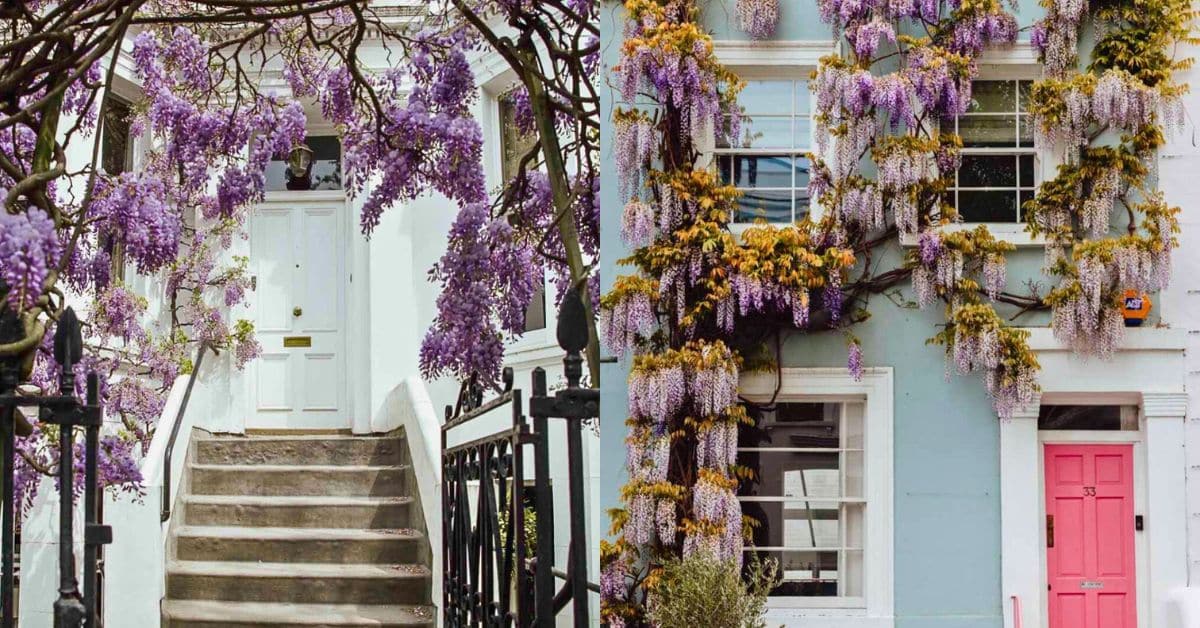 Londres