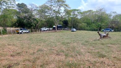 terrenos