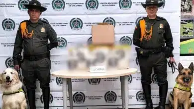 cocaína