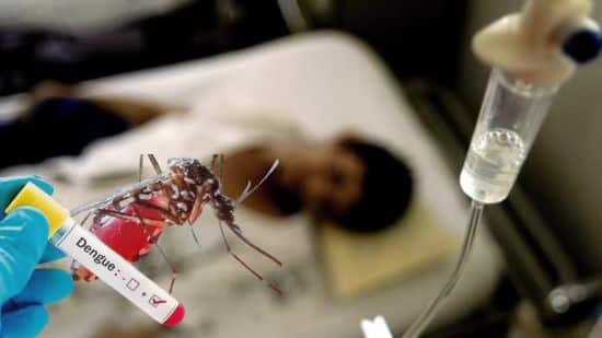 dengue