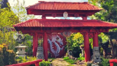 jardín
