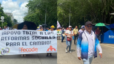 docentes
