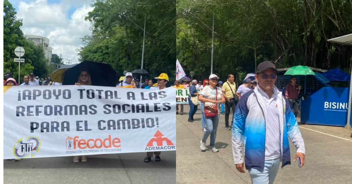 docentes