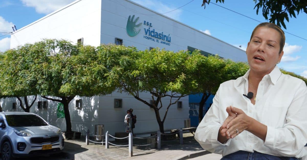E.S.E. Vidasinú