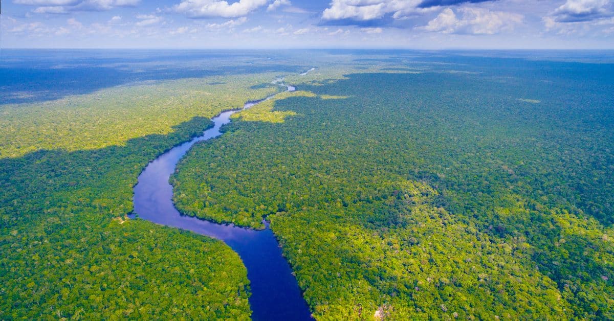 Amazonas