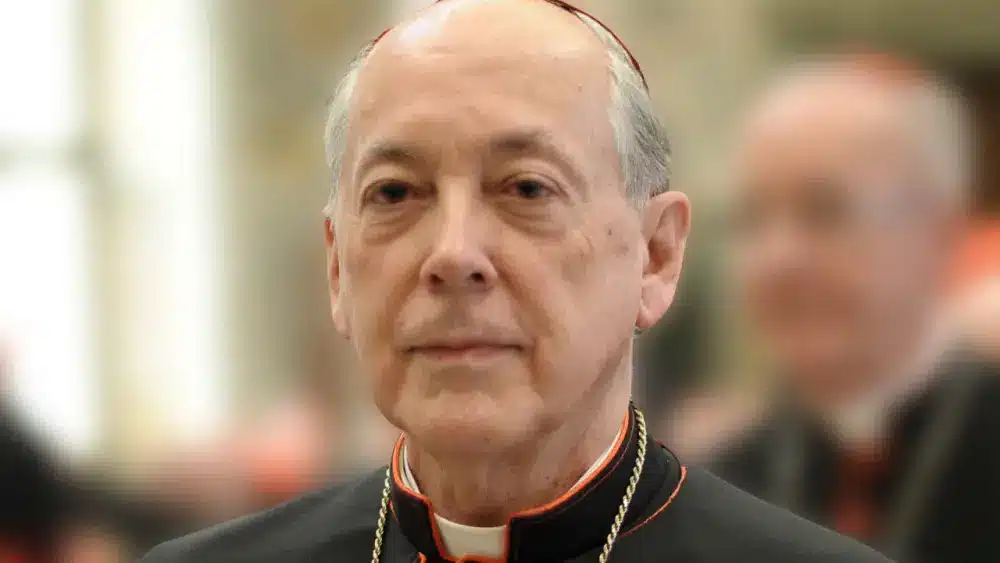 cardenal