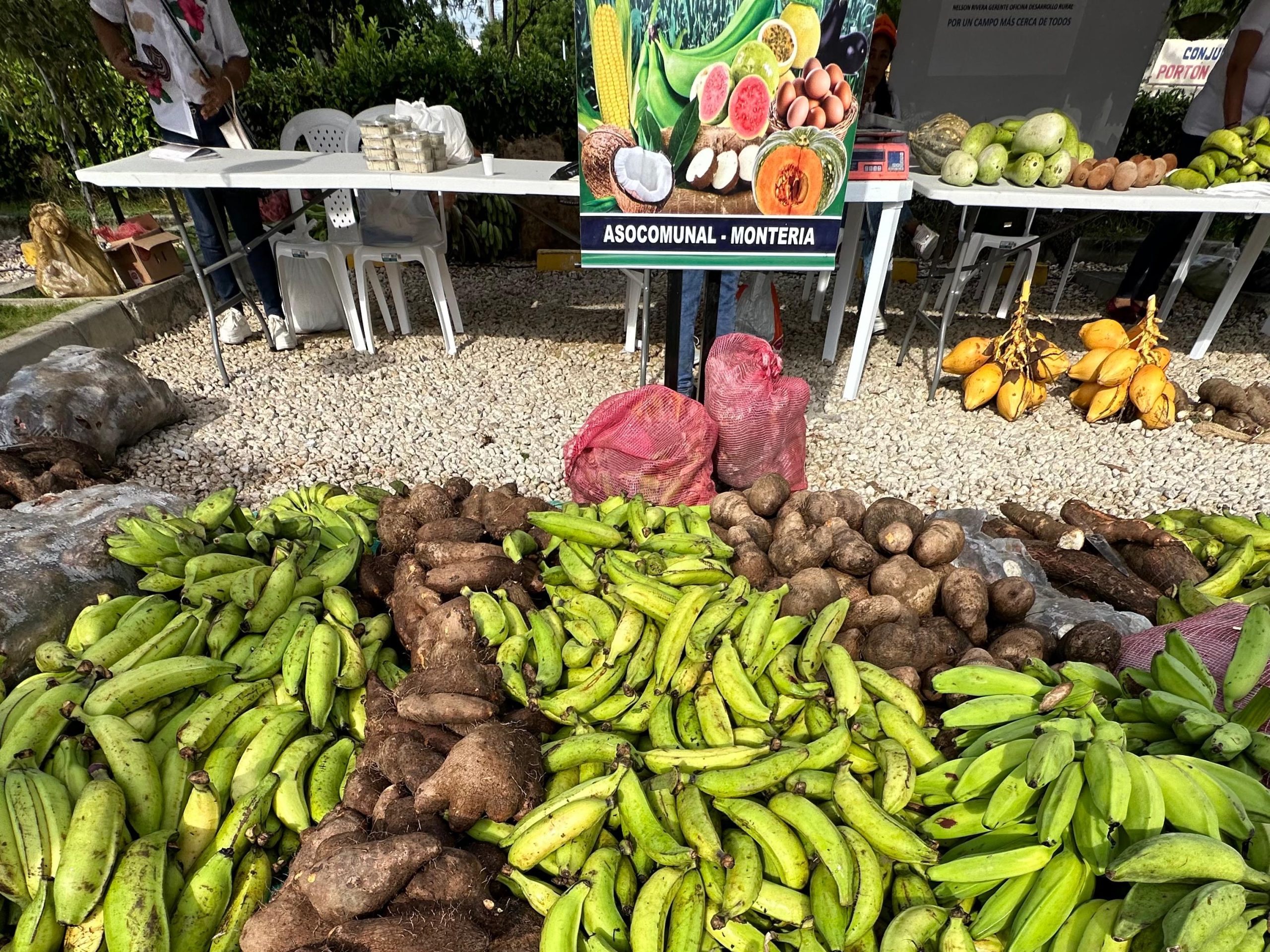 Mercado