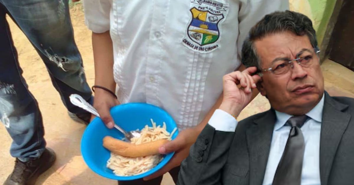 alimentación