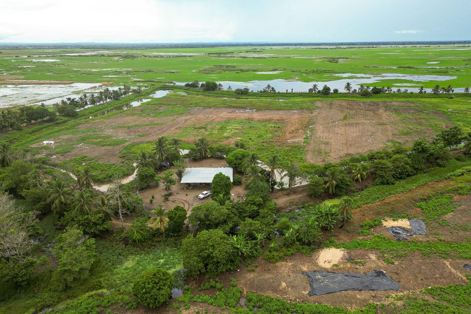 Ciénaga