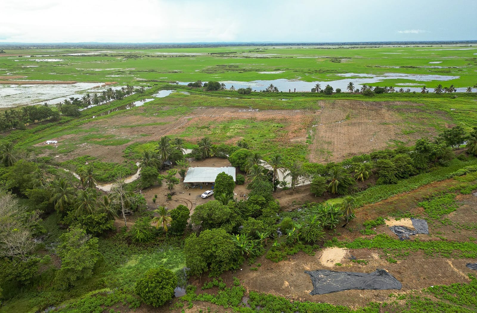Ciénaga
