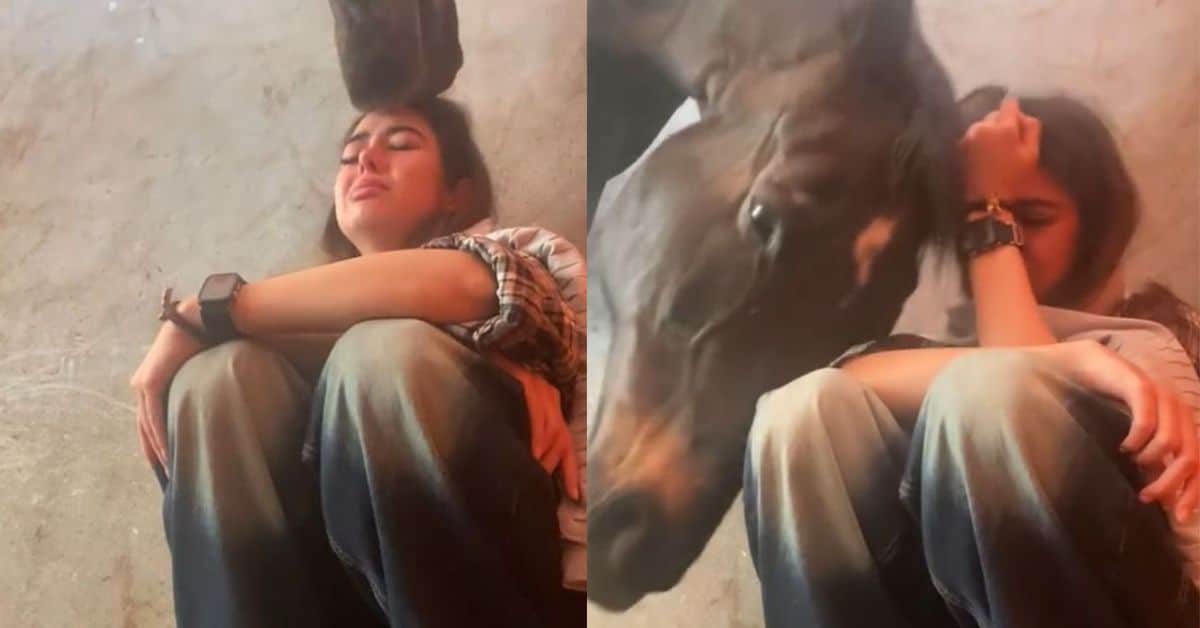 Caballo