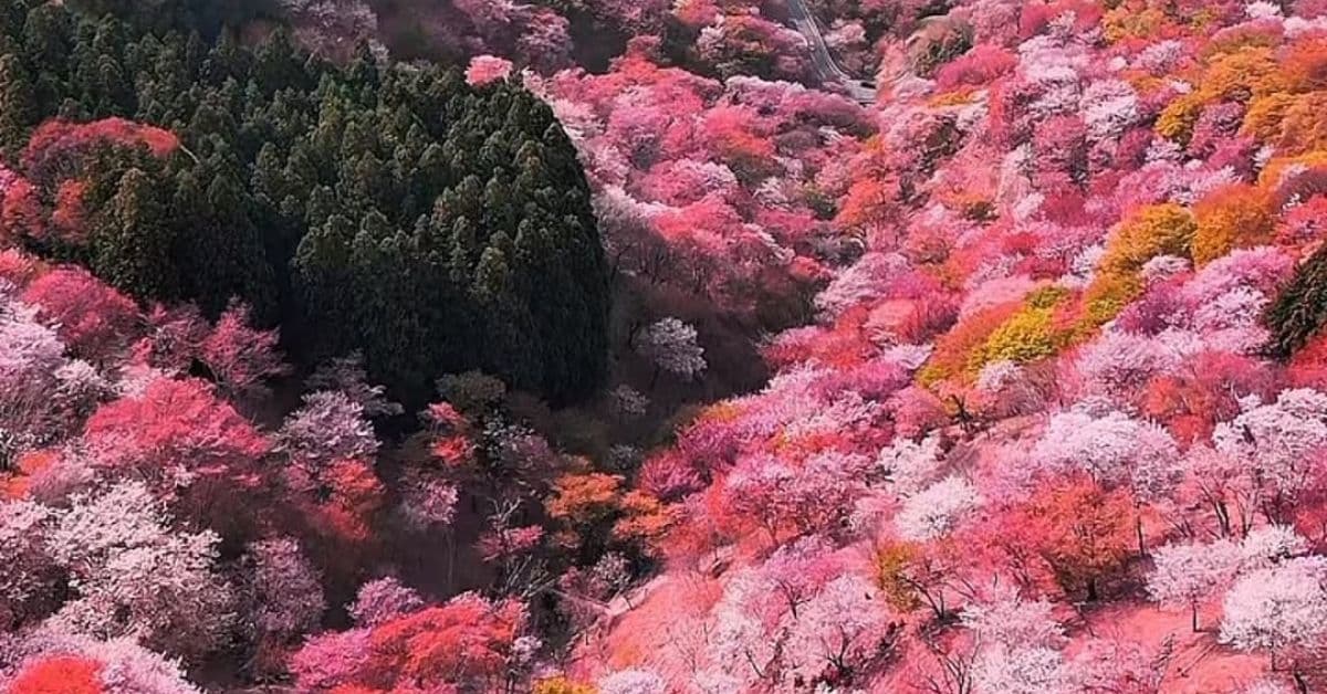 santuario japonés