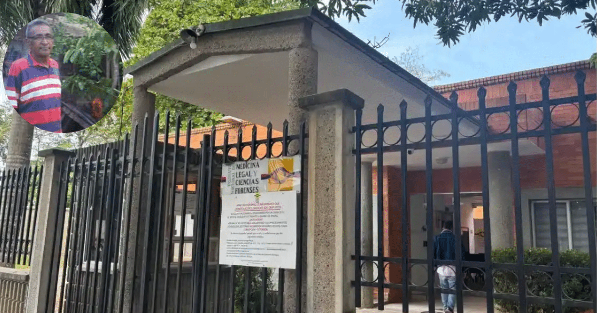 adulto