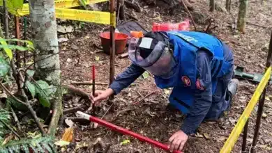 explosivos