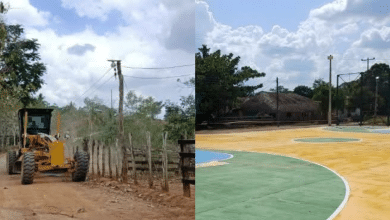proyectos