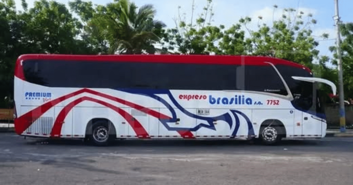 bus