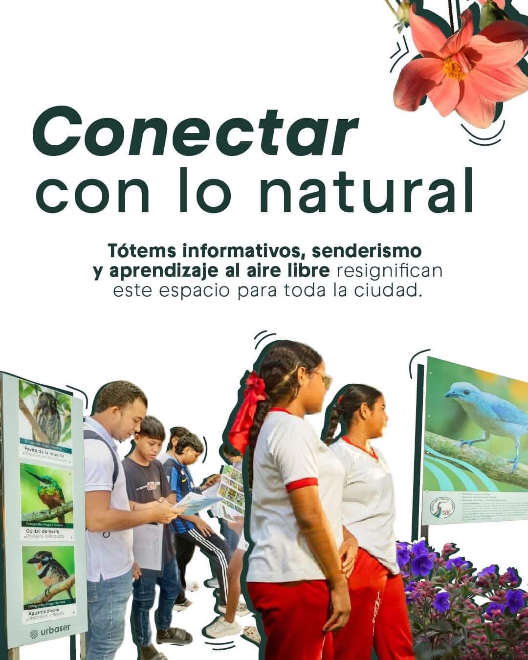 Montería