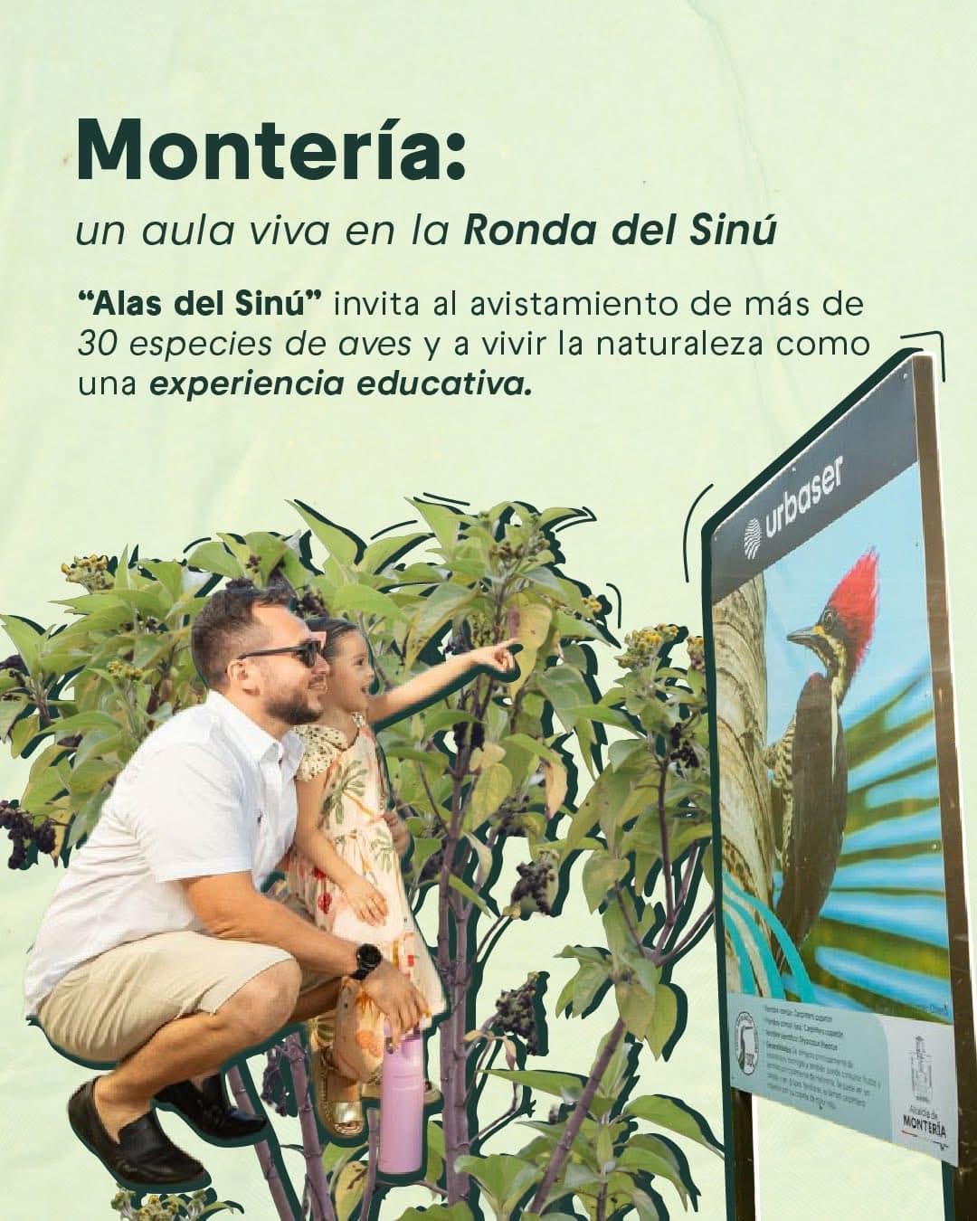 Montería