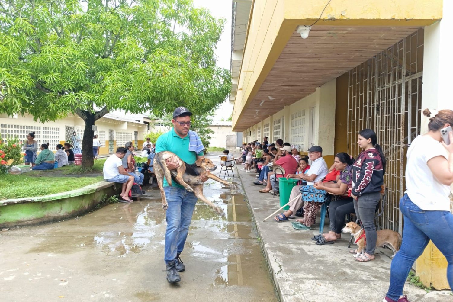 esterilización