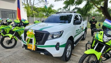 parque automotor