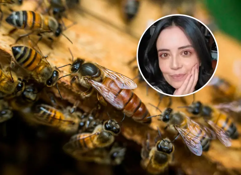 abejas