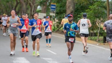Media Maratón