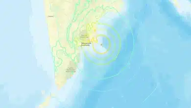 sismo