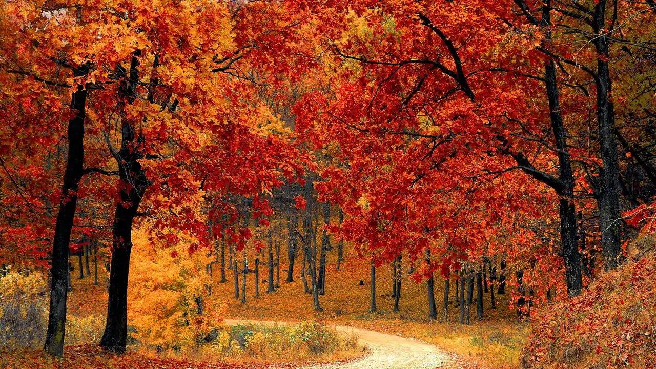 otoño