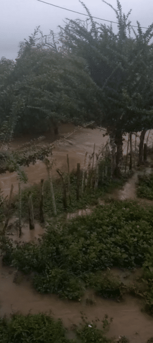 lluvias