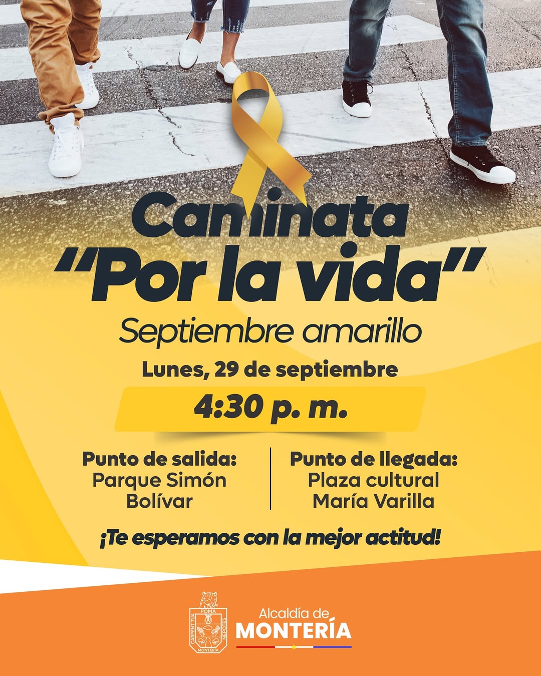 Montería