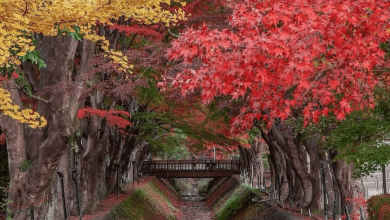 otoño