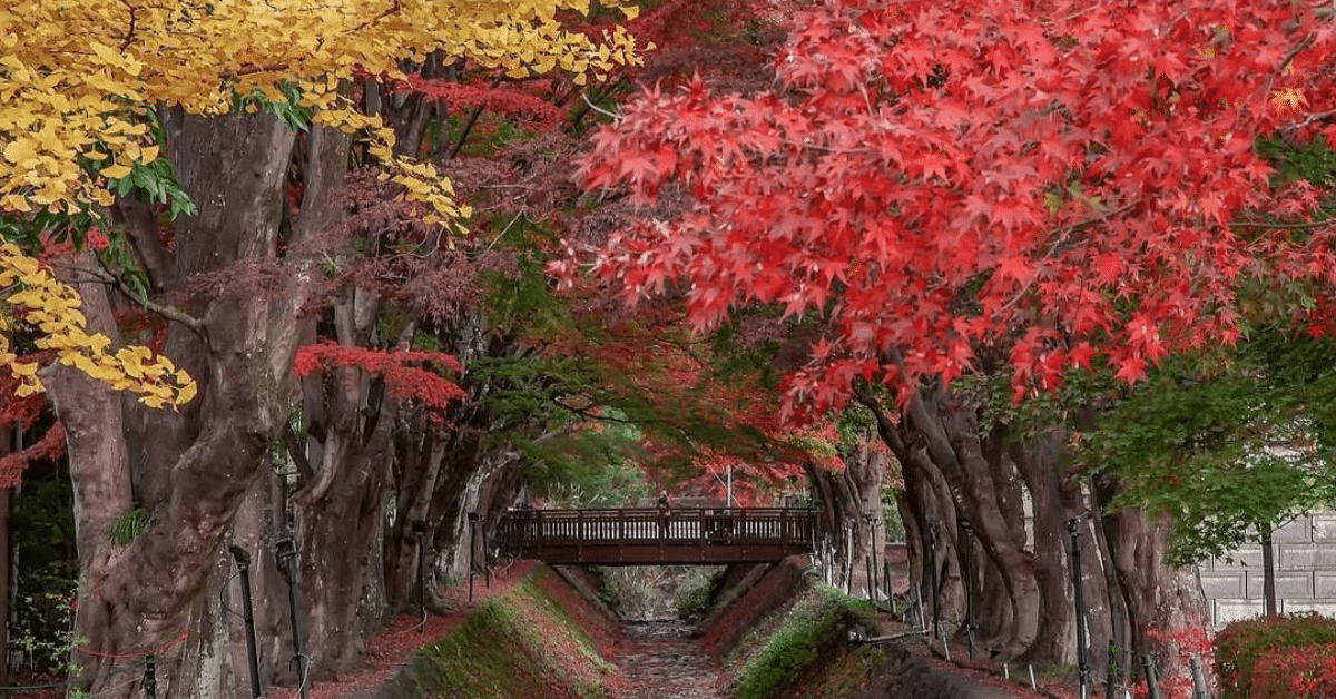 otoño
