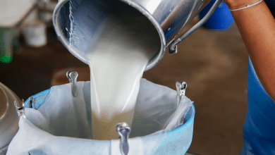 Imagen de referencia leche cruda Canva