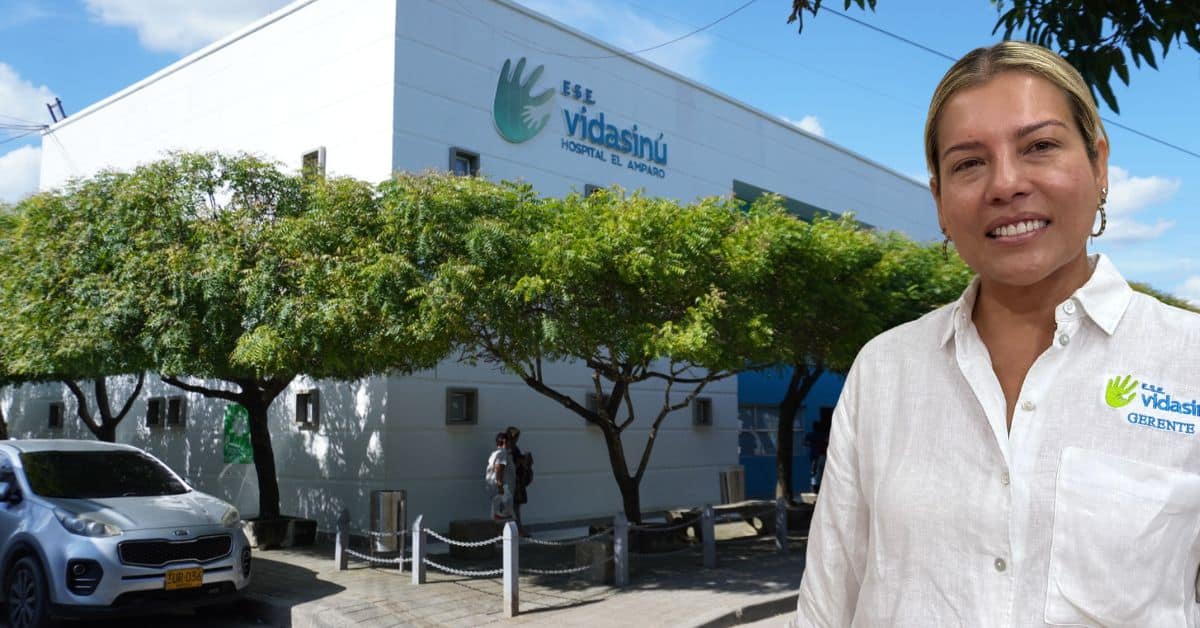 Vidasinú