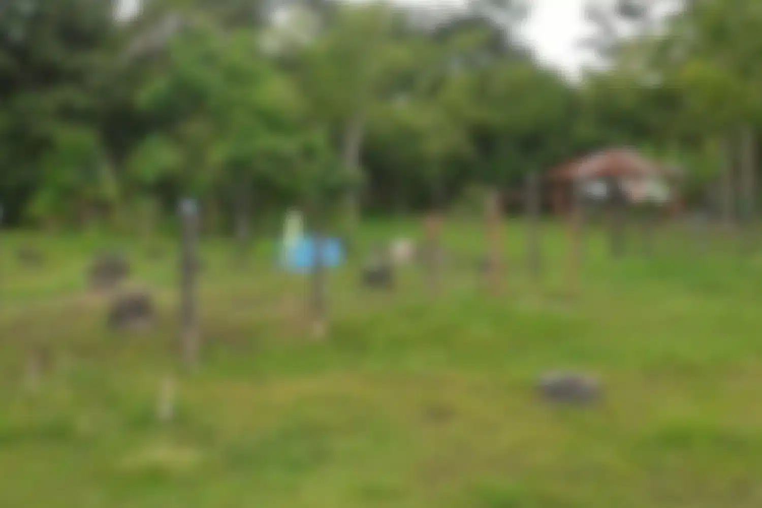 zona rural