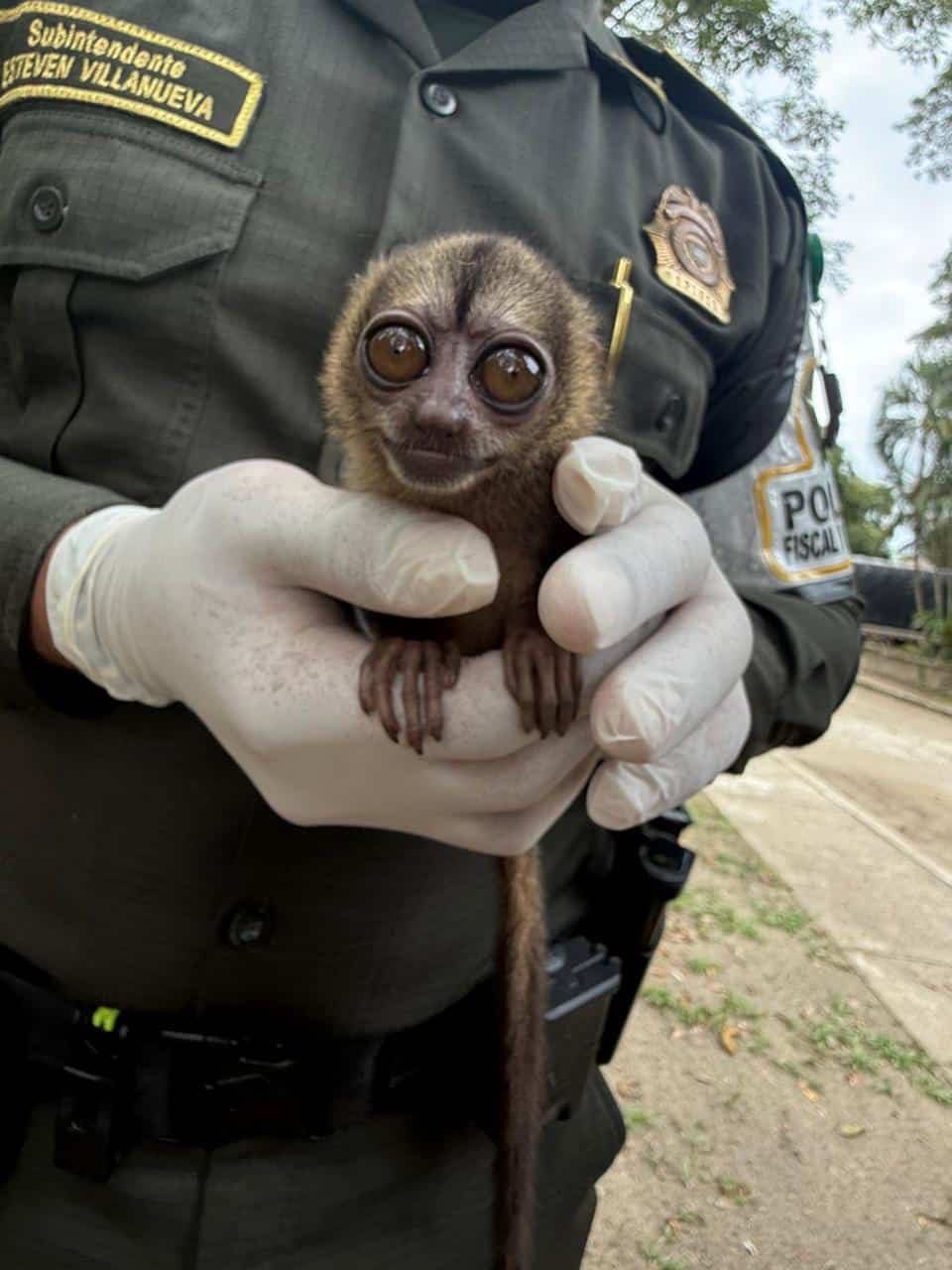 policía