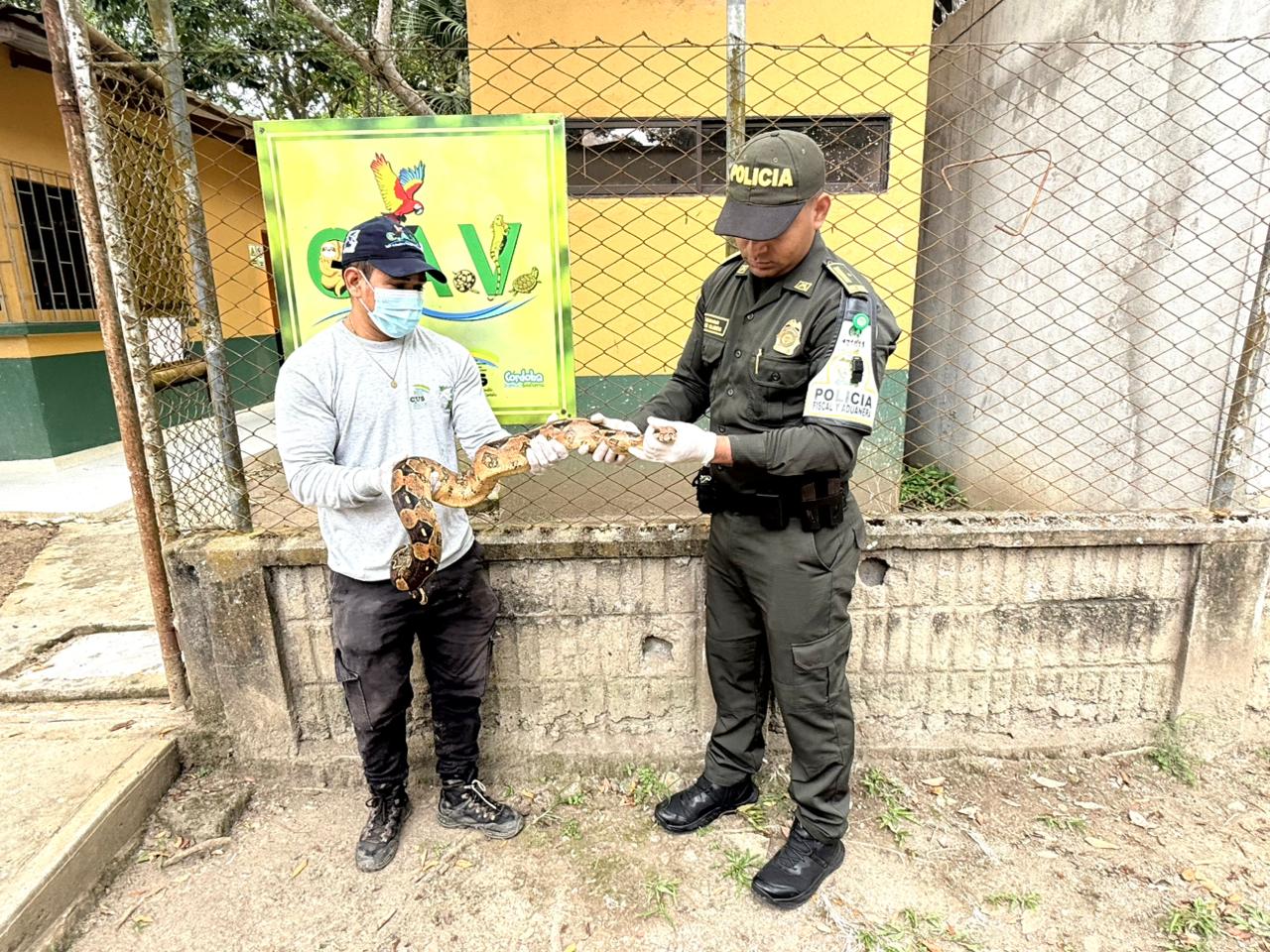 policía