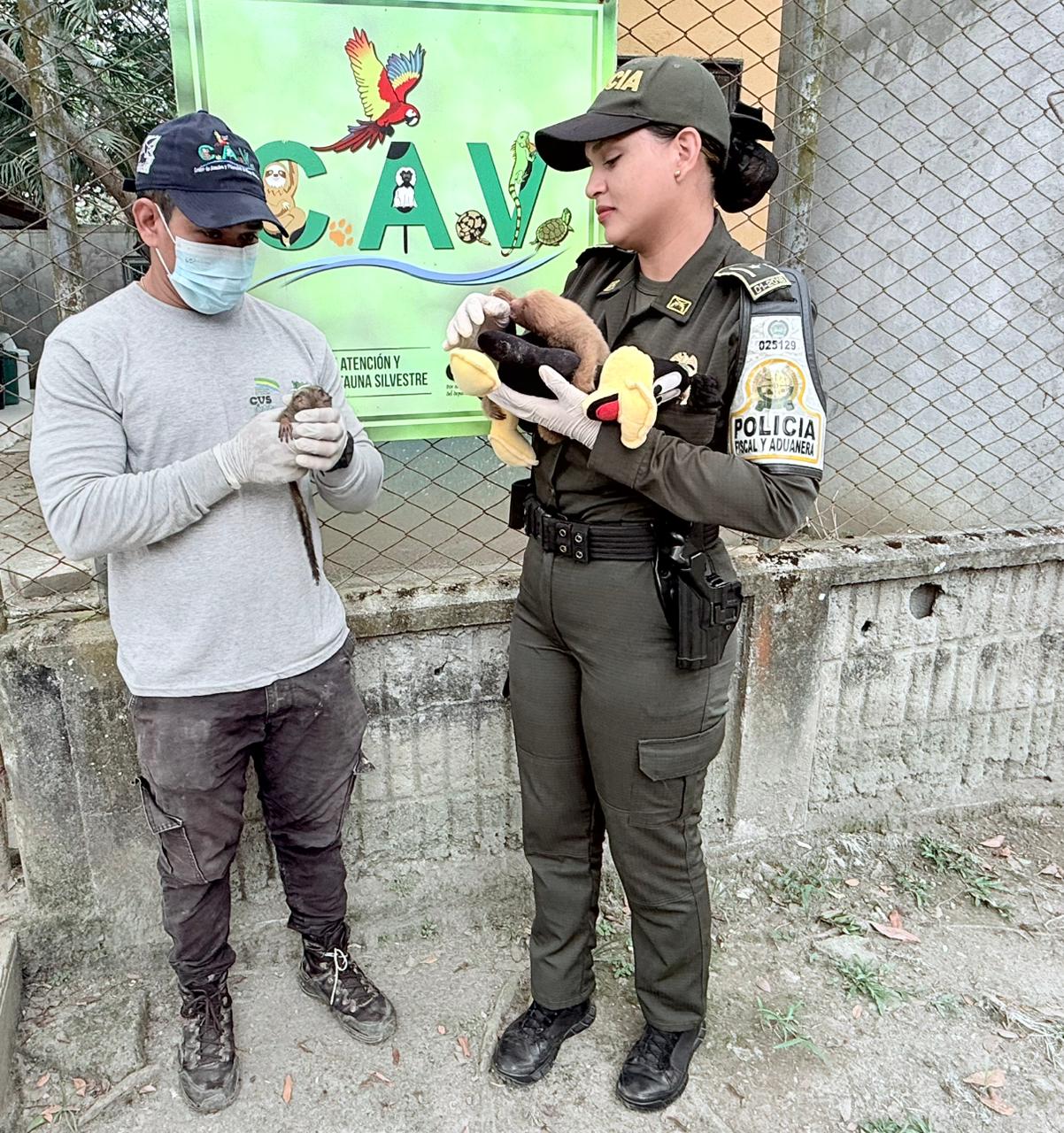 policía