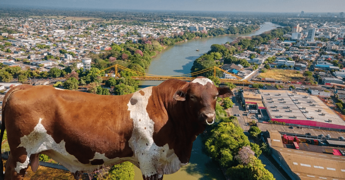 Montería