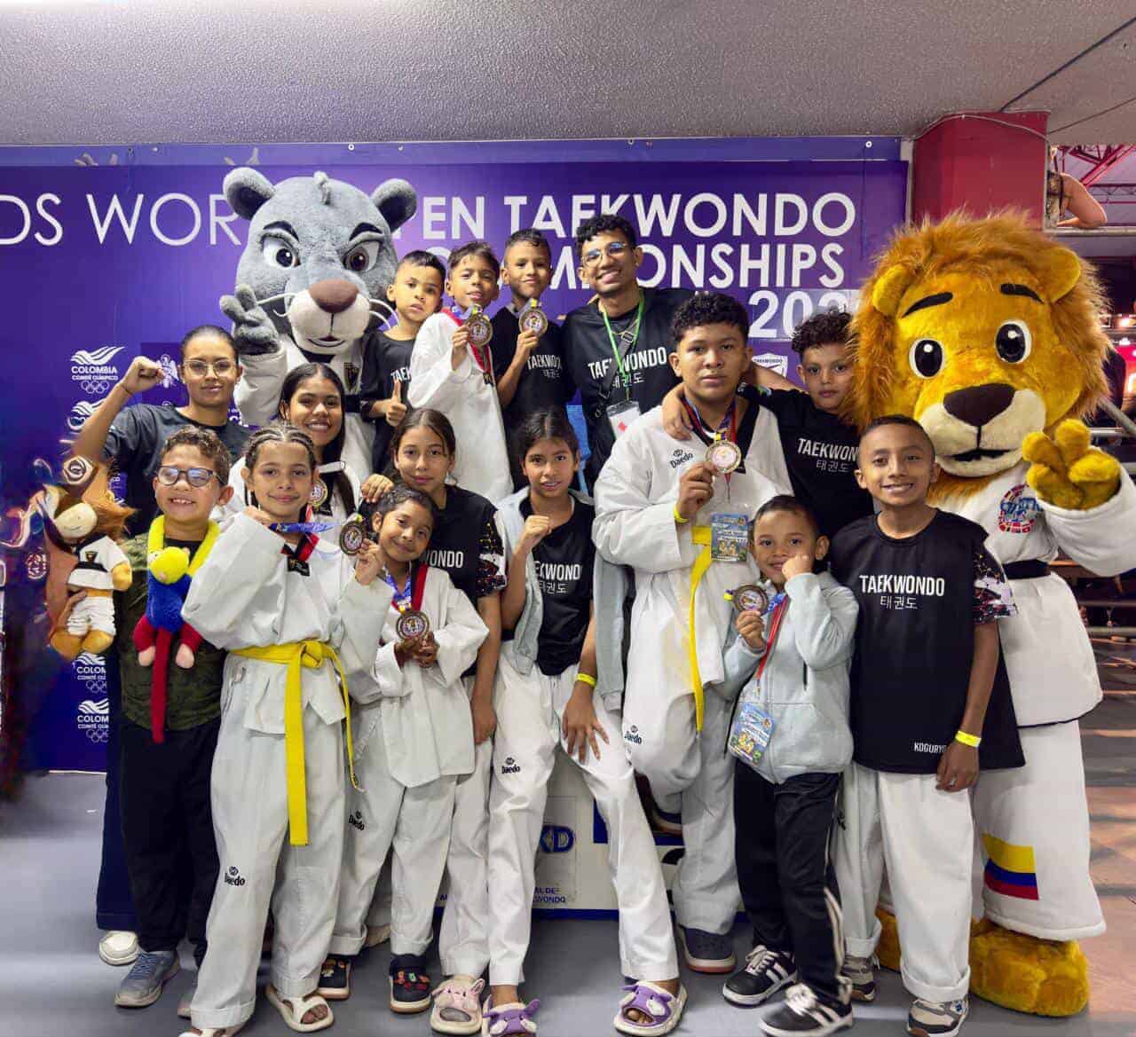 Taekwondo