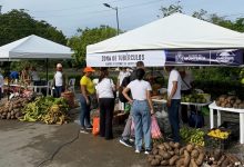 Mercado Campesino